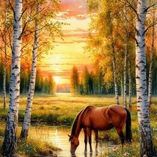 Схема вышивки «№2902457»