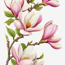 Схема вышивки «Магнолия»