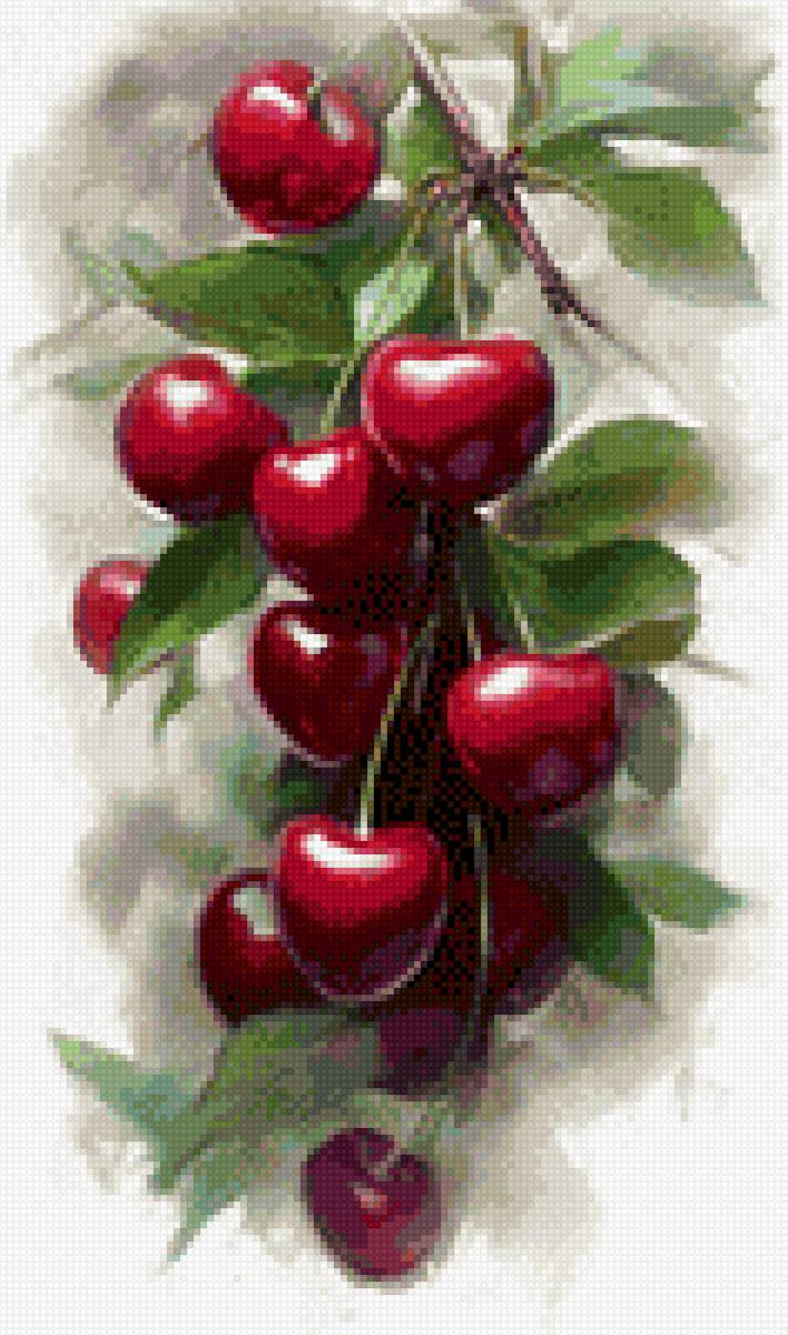 Вишня - ягоды, вишня - предпросмотр