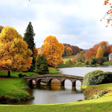 красота 100 цв