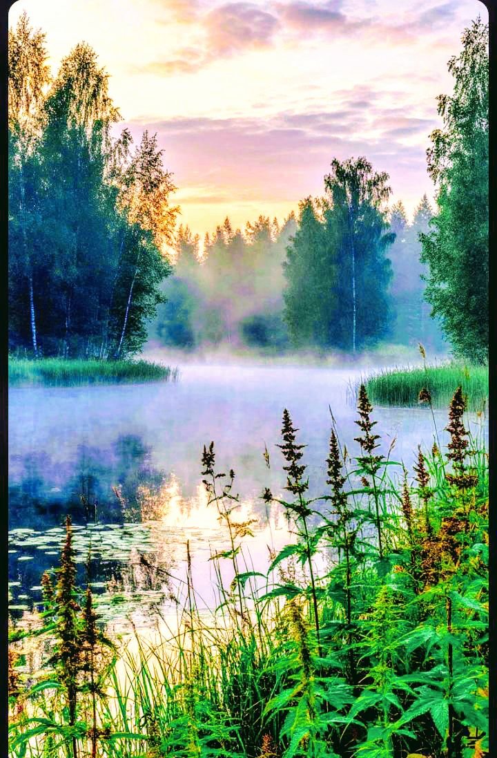 Вечер - туман - оригинал