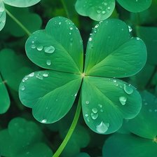 Схема вышивки «Счастливый Клевер»