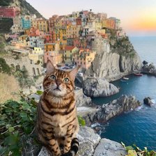 Схема вышивки «cat and sunset»