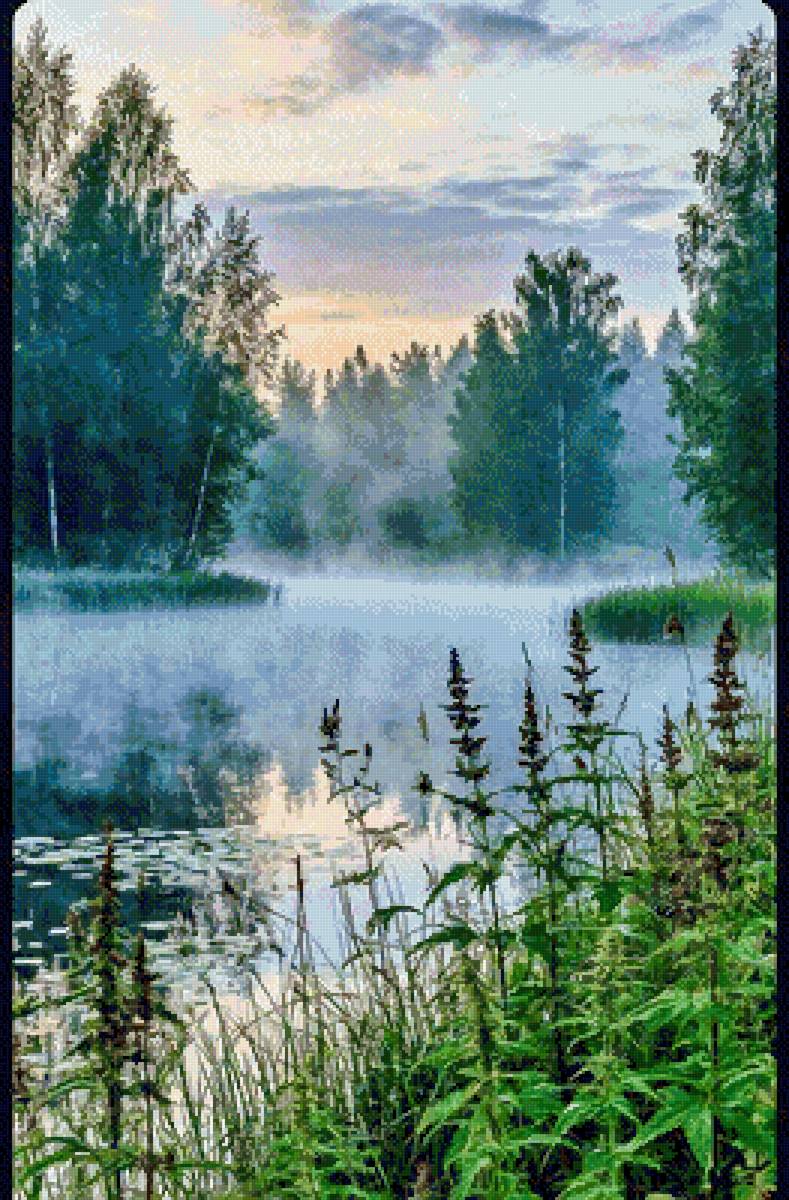 Утро, туман - лето, лес - предпросмотр