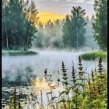 Схема вышивки «Утро, туман»