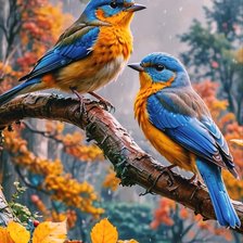 Схема вышивки «Птицы»