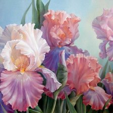 Схема вышивки «Ирисы»