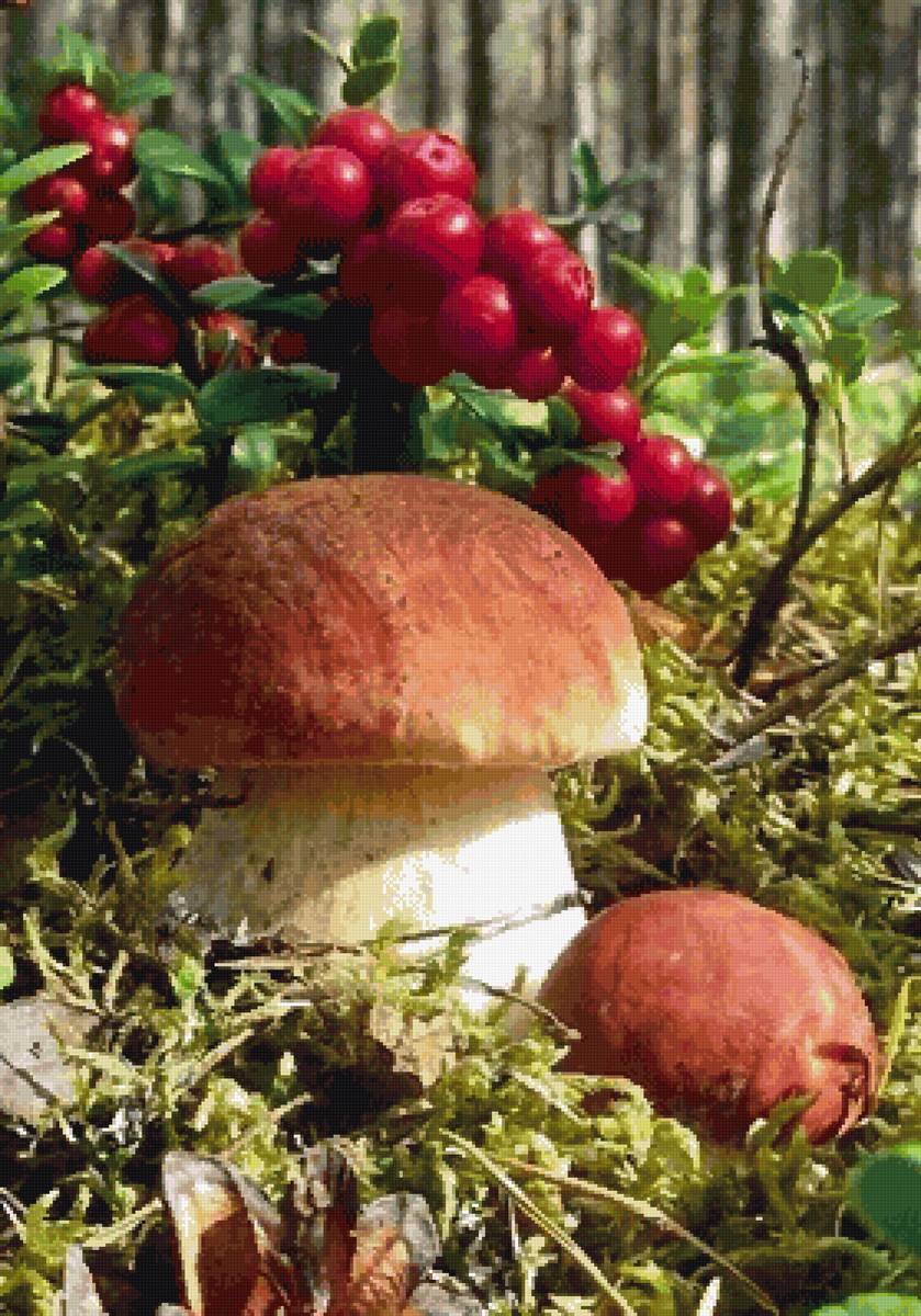 Грибочки - предпросмотр