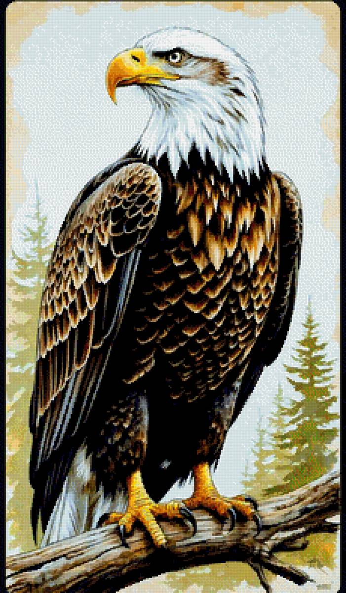 Природа - орел - предпросмотр