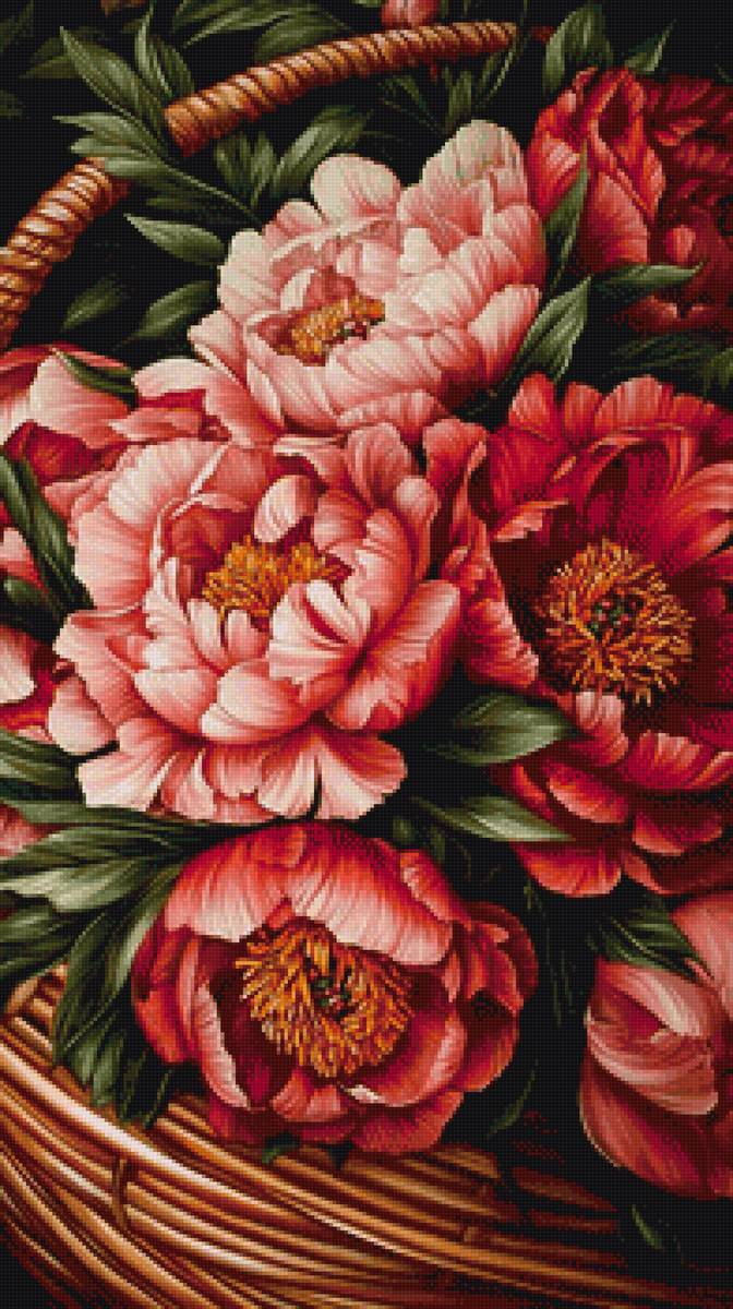 Пионы в корзине - пионы, корзина, цветы - предпросмотр