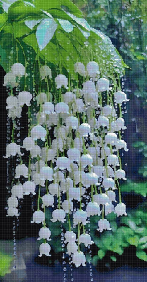 Ландыши - предпросмотр