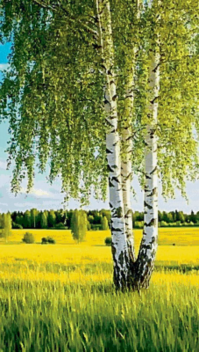 Ах Лето - лес, лето, пейзаж - предпросмотр