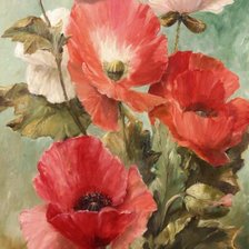 Схема вышивки «Маки»