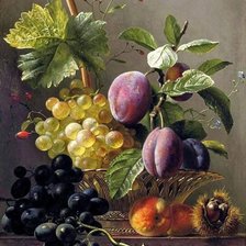 Схема вышивки «Сливы»