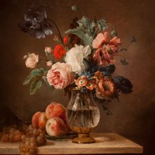 Схема вышивки «Ц»