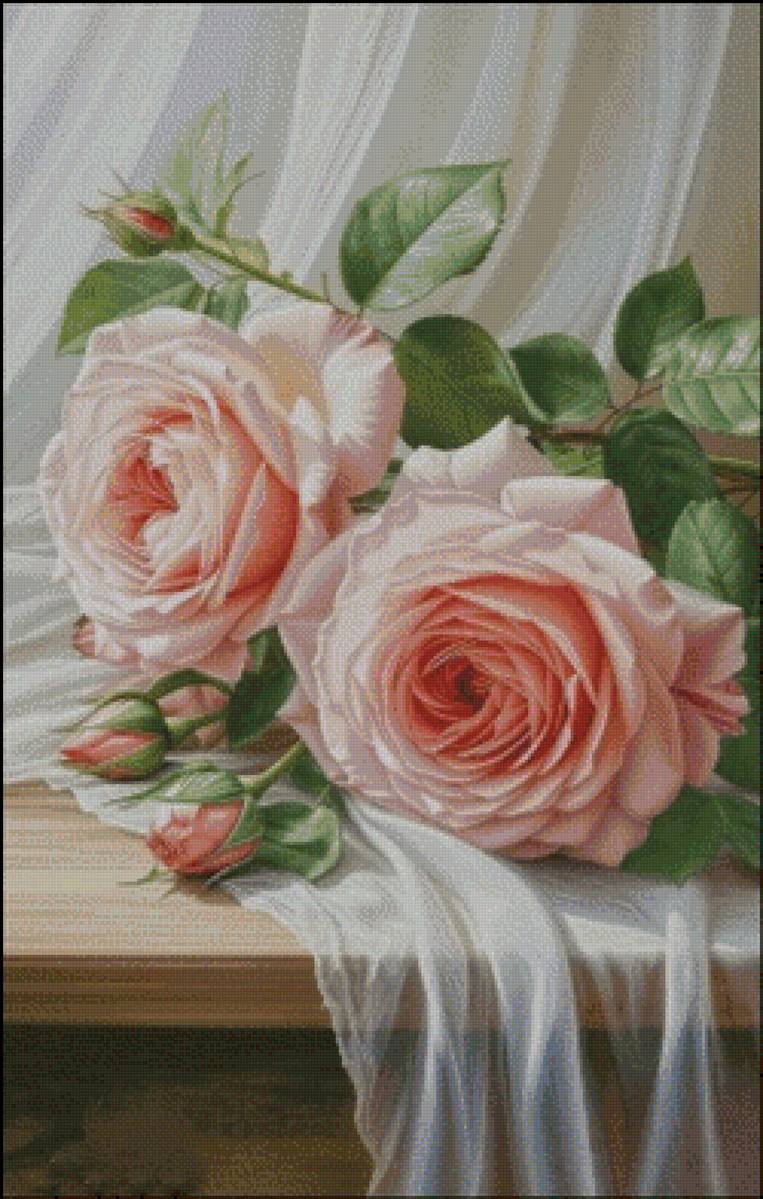 Розы - предпросмотр