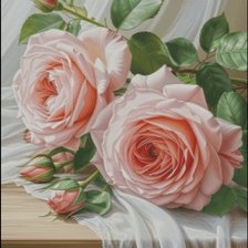 Схема вышивки «Розы»