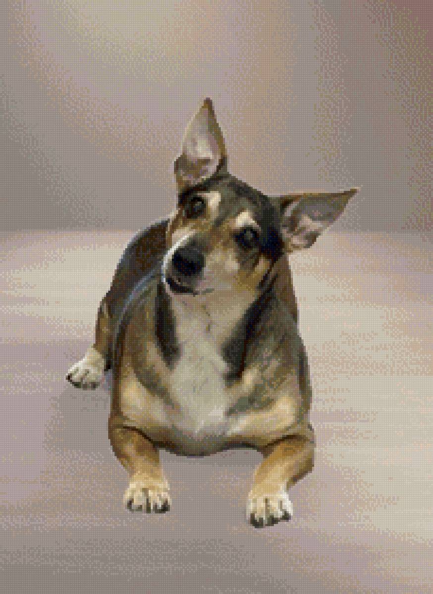 Арчи2 - предпросмотр