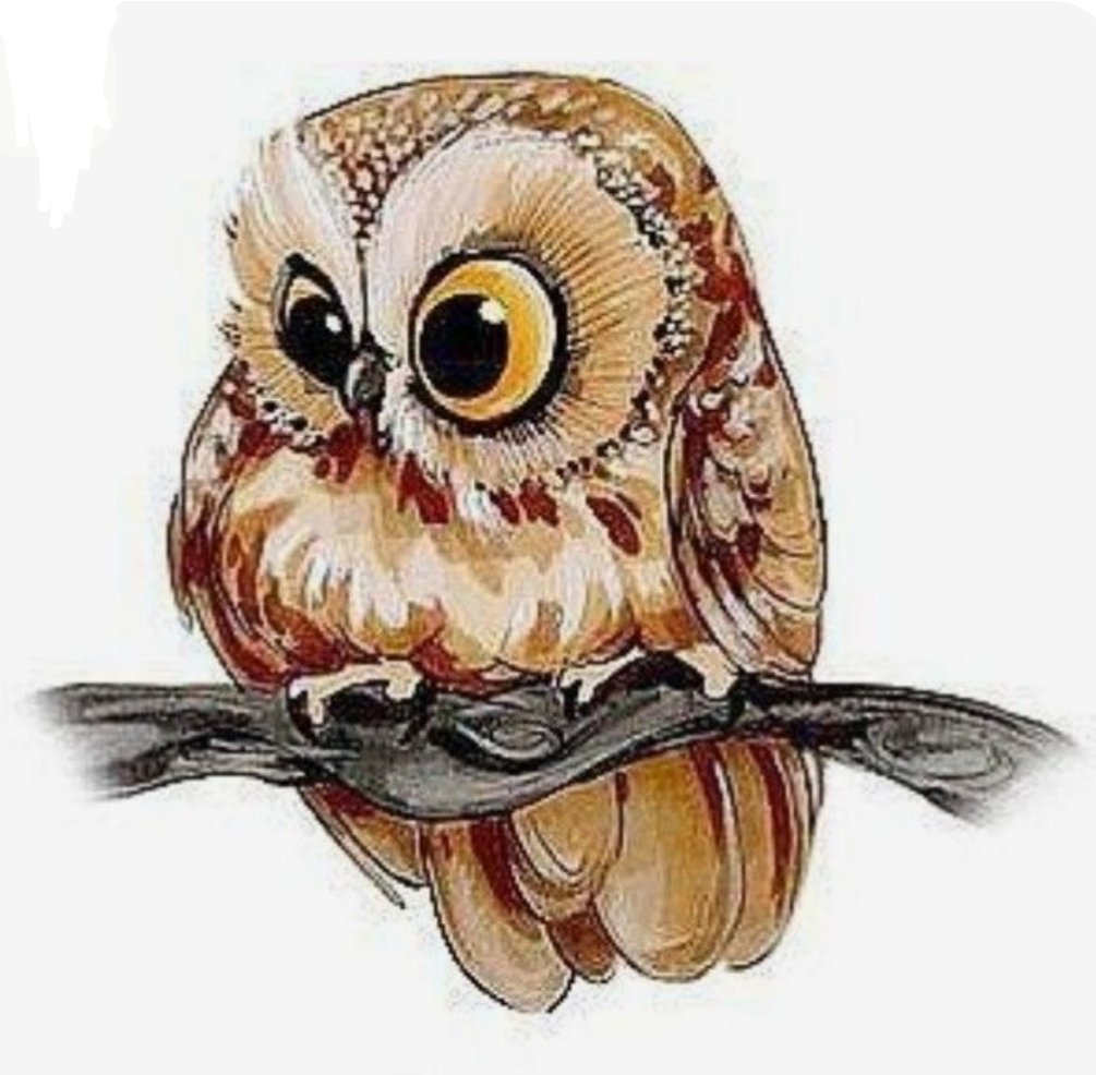 Совушка - птица, сова - оригинал