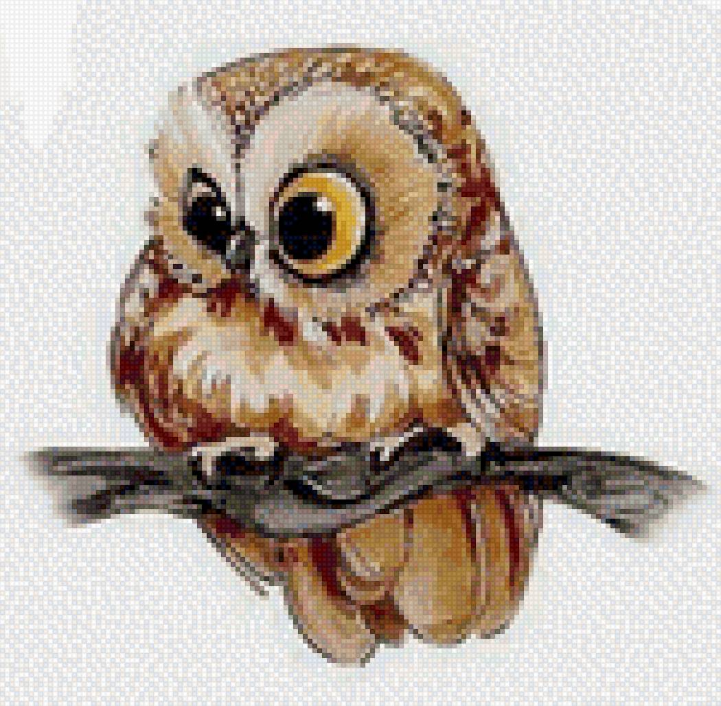 Совушка - птица, сова - предпросмотр