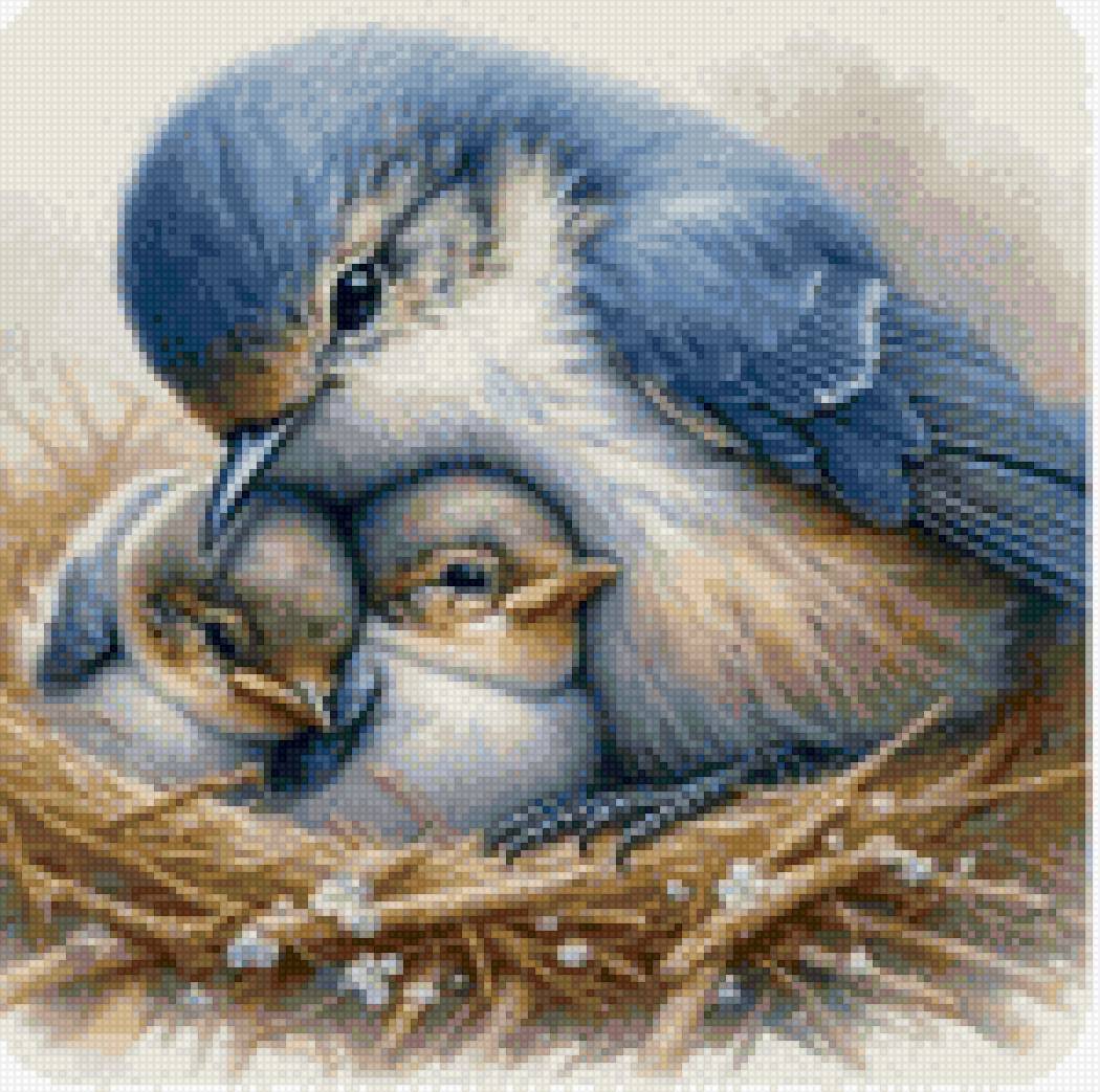 Птицы в гнезде - птицы, гнездо, птенцы - предпросмотр