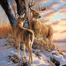 Схема вышивки «№2907133»