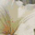 Предпросмотр схемы вышивки «Букет» (№2907349)