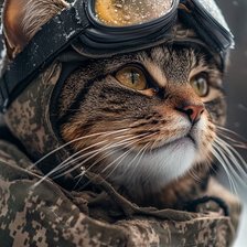 Схема вышивки «chat montagnard»