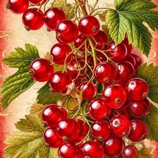 Схема вышивки «№2908107»