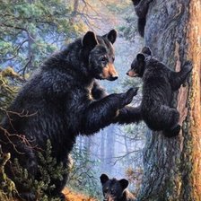 Схема вышивки «Семья медведей»