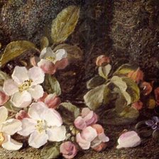 Схема вышивки «№2908408»