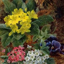 Схема вышивки «№2908482»