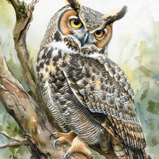 Схема вышивки «Hibou grand duc»