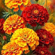 Схема вышивки «Бархатцы»