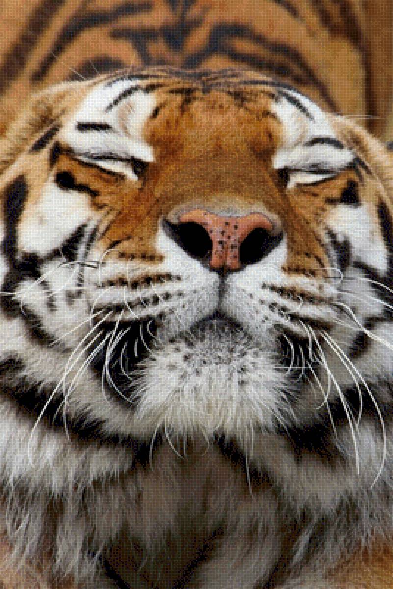 Тигруля - предпросмотр