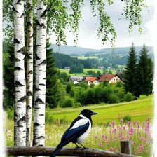 Схема вышивки «№2911341»