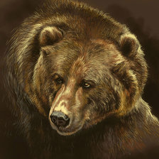 Схема вышивки «Медведь»