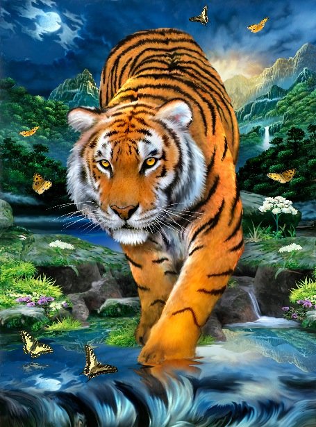 Тигр - бабочки, луна, небо, водопад, тигр - оригинал