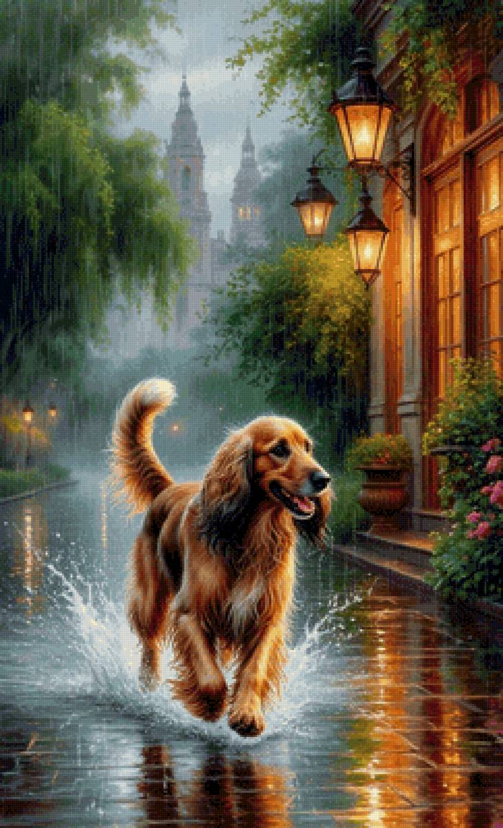 Счастливчик - предпросмотр