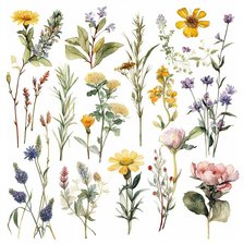 Схема вышивки «Садовые цветы акварель»