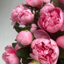 Схема вышивки «Пионы»