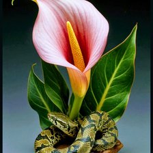 Схема вышивки «Цветы»