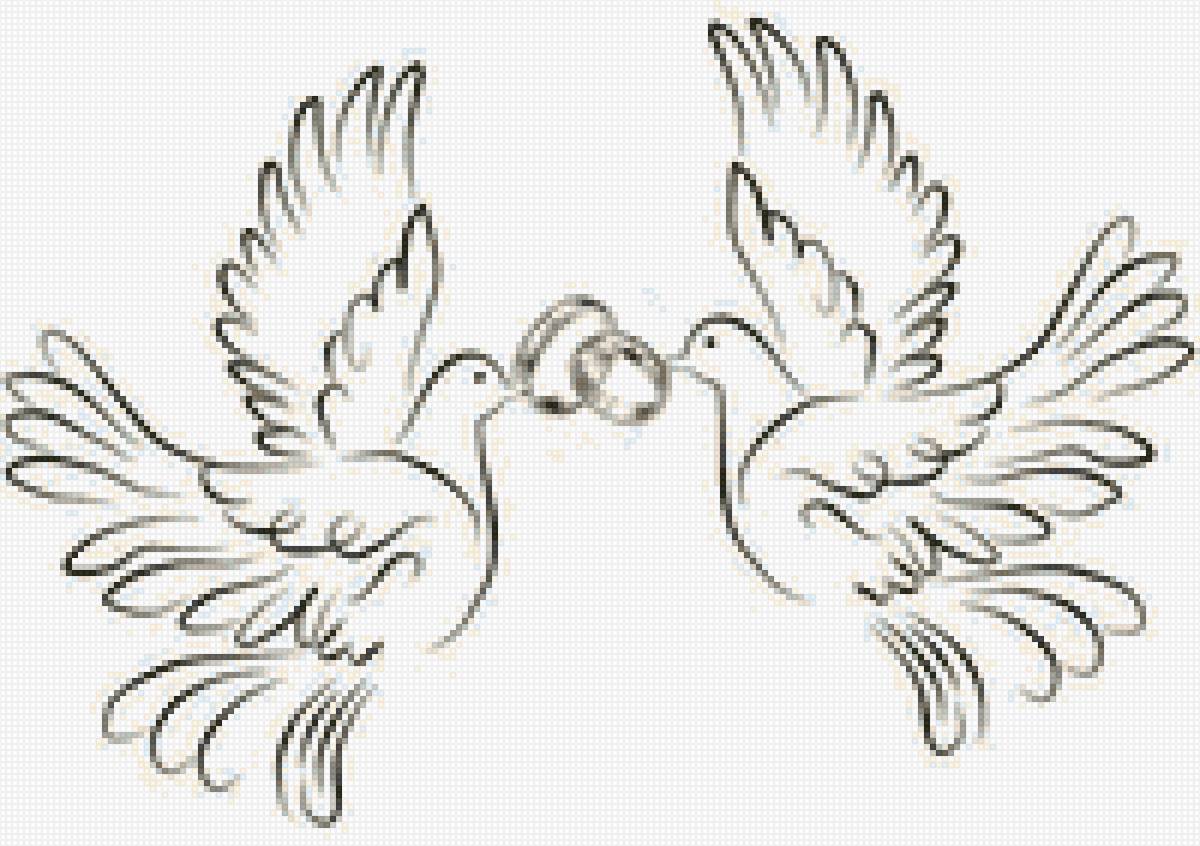 свадебные голуби - предпросмотр