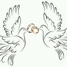 свадебные голуби