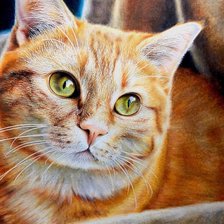 Схема вышивки «№2913186»