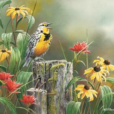 Схема вышивки «№2913189»