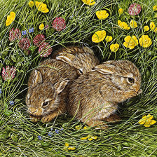 Схема вышивки «№2913249»