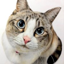 Схема вышивки «№2913250»