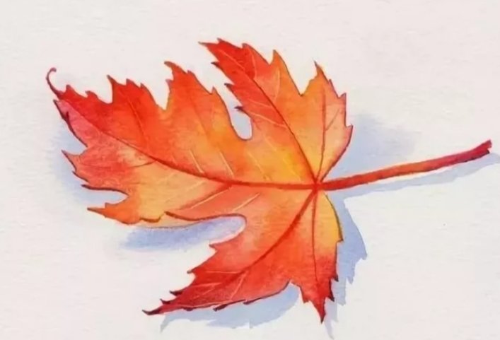 Кленовый лист - осень клен, лист - оригинал