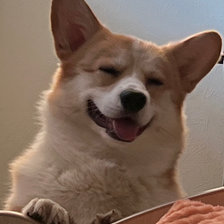 Схема вышивки «Персик»